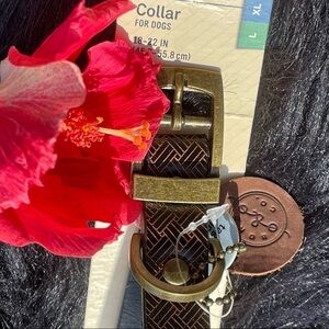NWT Bond & Co Faux Leather Brown Printed Dog Collar Size L/XL